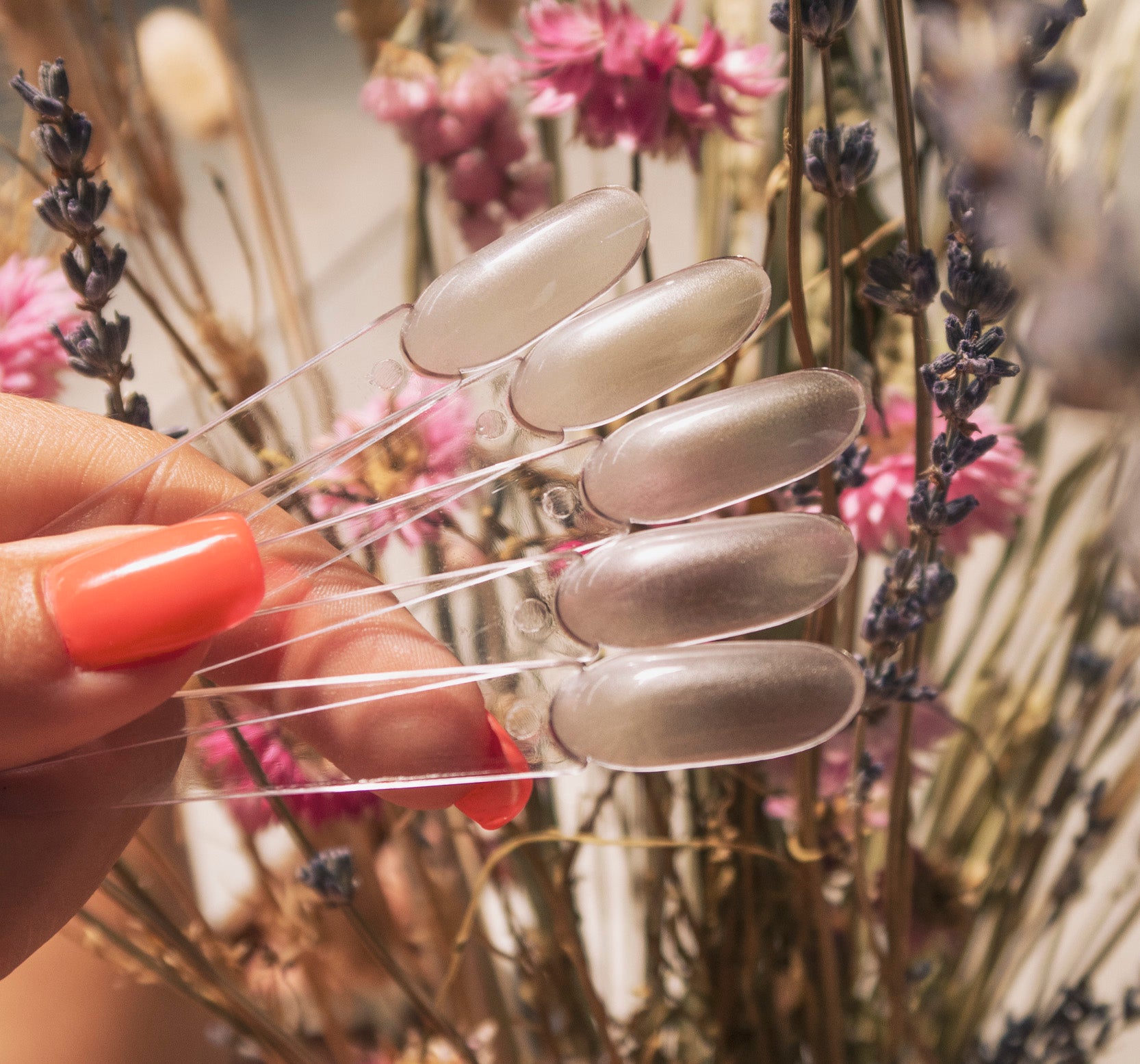 Échantillonneur de pointes d'ongles en amande - 50 unités